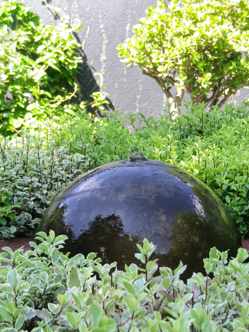 Le jardin Intérieur à Ciel Ouvert d’Athis-de-l’Orne Imgp3955