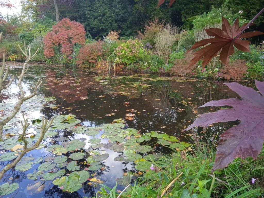 Giverny Thumb924