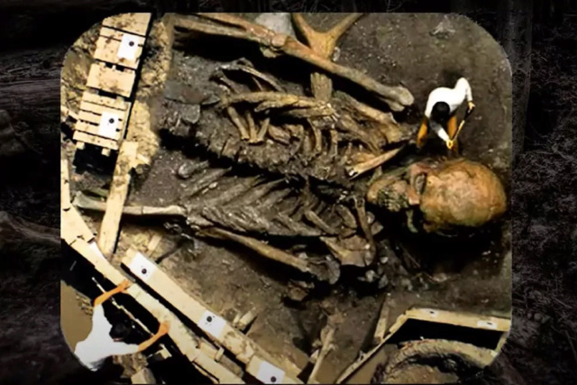 Squelette geant de 7 M avec photo dans un musée 16865810