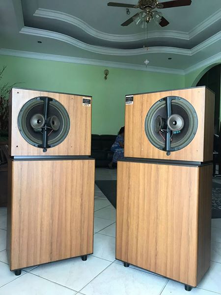 Bose 8 2 Stereo Everywhere Floor Standing Speakers