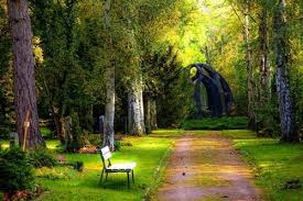 MỘT MÙA Images24