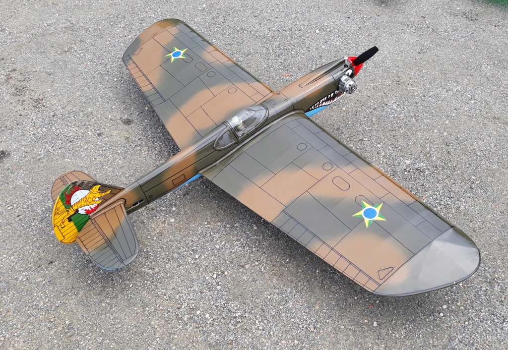 P-40 TIGER SHARK Kit Top Flite - Página 8 P313