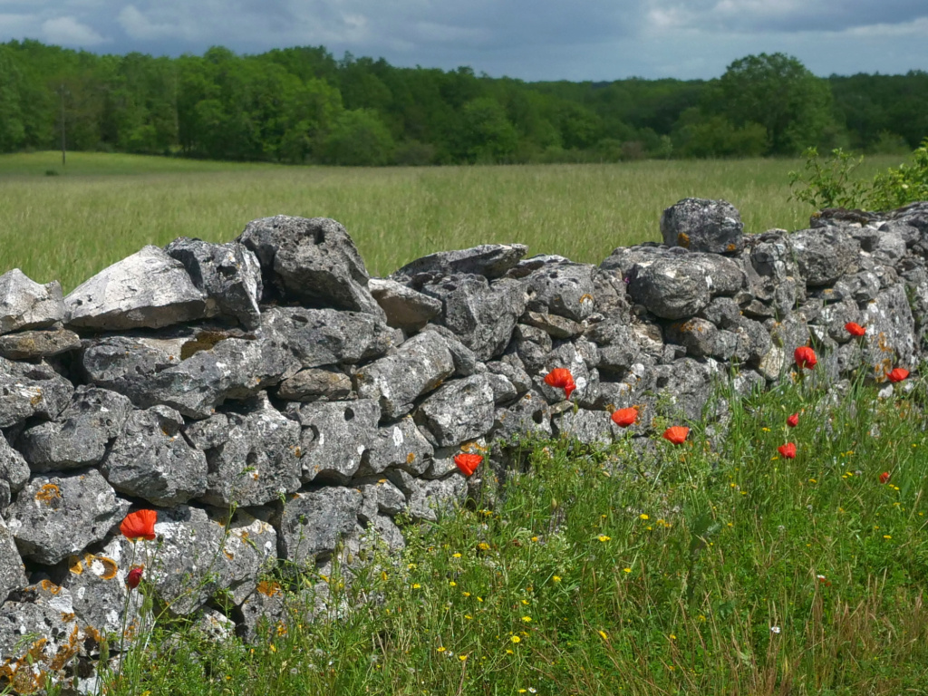 Quercy P1055510