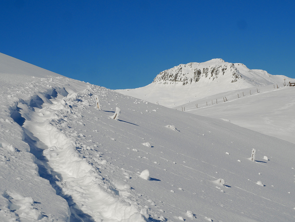 Massif du Cantal - serie Raquet10