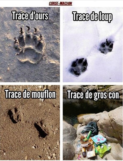 Une histoire de traces Trace10