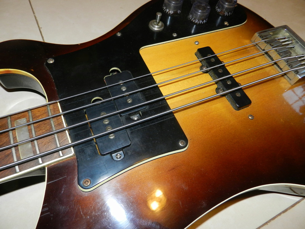 Jolana D Bass - O Rickenbacker do Leste! Jolana12