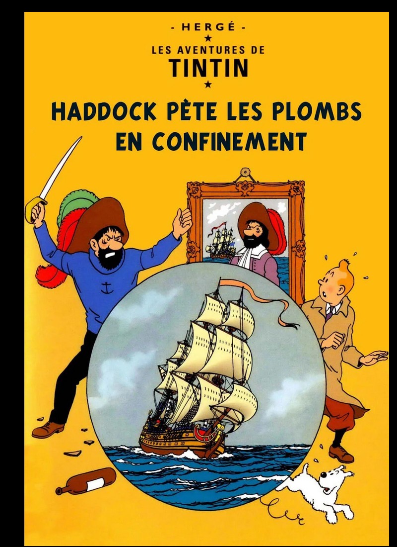 Quand les internautes détournent les albums de Tintin à l’heure du confinement Sans3330