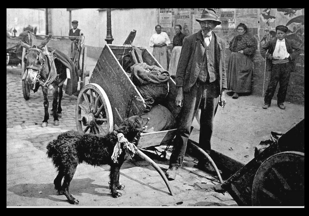 Ramasseur de crottes de chiens Paris 1900 Sans4127