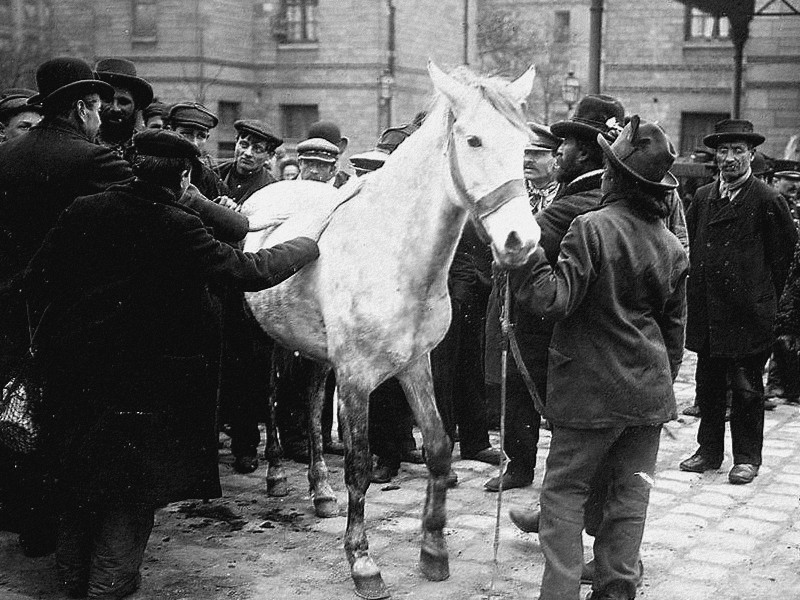 Le CHEVAL à PARIS Sans4638