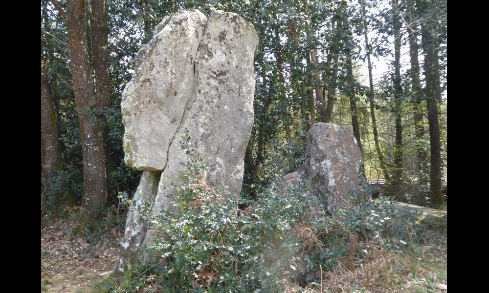 Menhir de la pierre du coq Sans5307