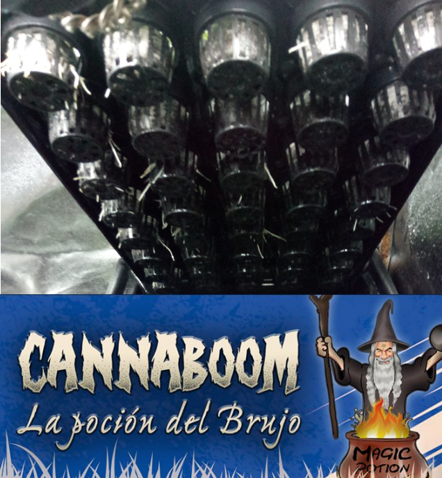 I+D  --->>  ☯QUIERES DOBLAR LA PRODUCCION DE TUS COSECHAS.. METODO MONSTER CROPPING  SEGUIMIENTO☯(CannaBoom) Guarde10