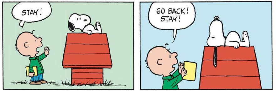 Peanuts. - Page 10 Capt1409