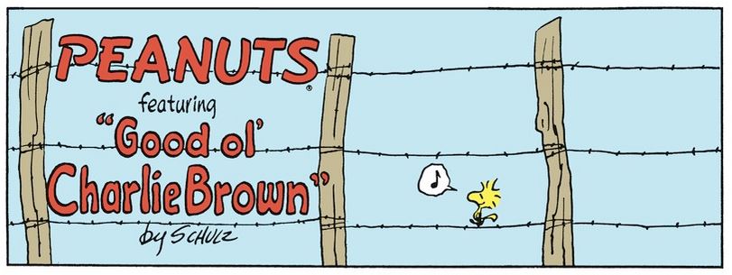 Peanuts. - Page 19 Capt2105
