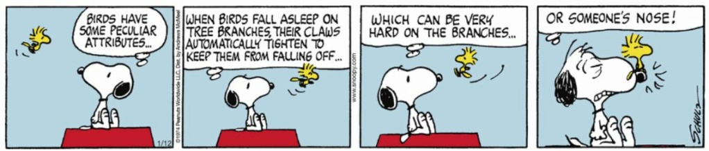 Peanuts. - Page 25 Capt2348