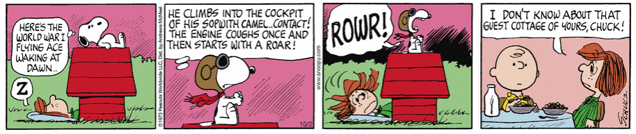 Peanuts. - Page 21 Captu141