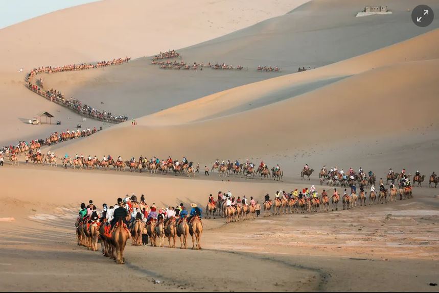 Guardian photos of the day. - Page 8 Captu486