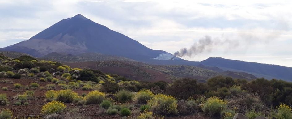 Forestry agents and helicopters fight fire in Teide National Park Firete10
