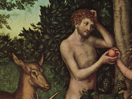 Adam et Eve Adam18