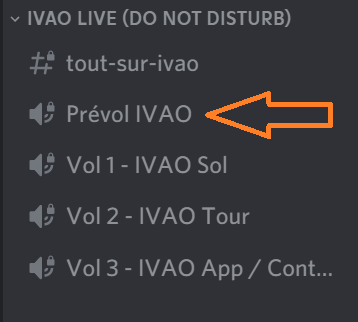 Session vol IVAO VFR Prevol10