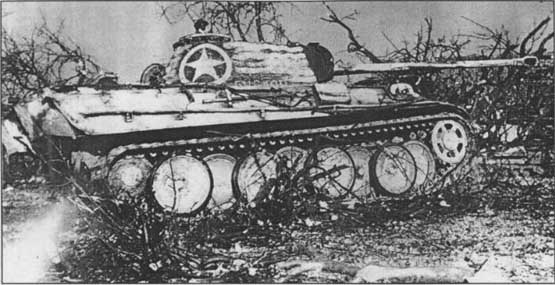 Cuckoo (Panzerkampfwagen V Panther Captured) (Pz.Kpfw. V Panther Captured) (Proposition) (Tier VII) Cuckoo11