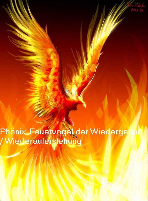 Feuervogel Phoenix / Phönix (Mythologie): Wiederauferstehung / Wiedergeburt Phznix10