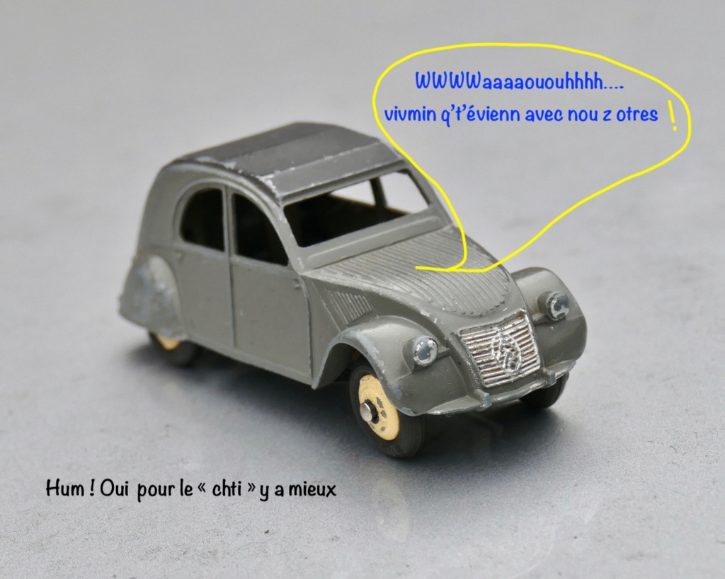 Une miniature 2CV à souscrire pour les enfants handicapés P1380110