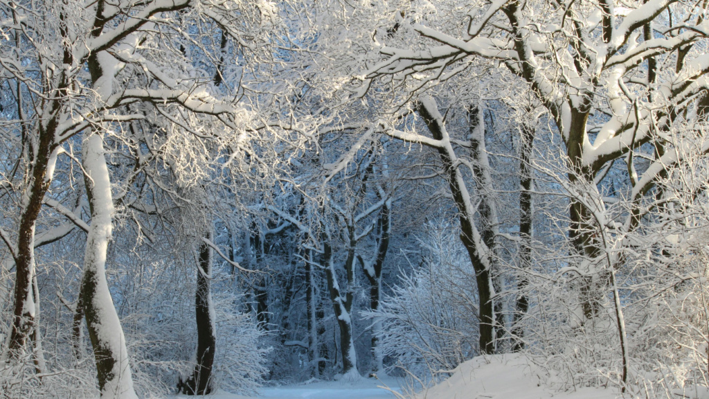 Zimski pejzaži-Winter landscapes 064