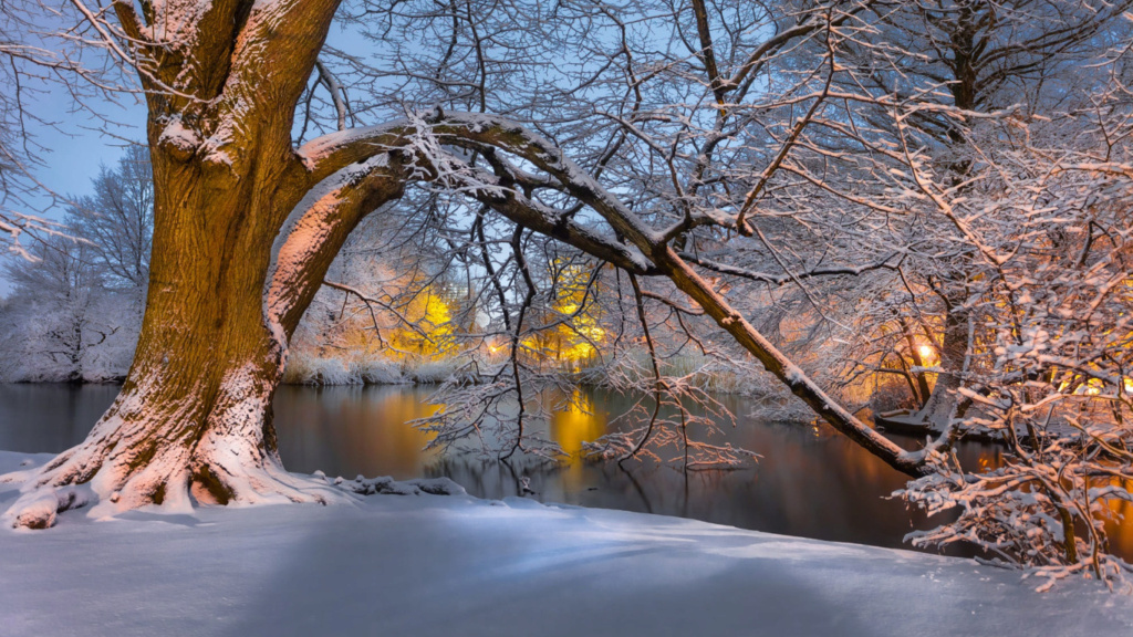 Zimski pejzaži-Winter landscapes - Page 25 13120