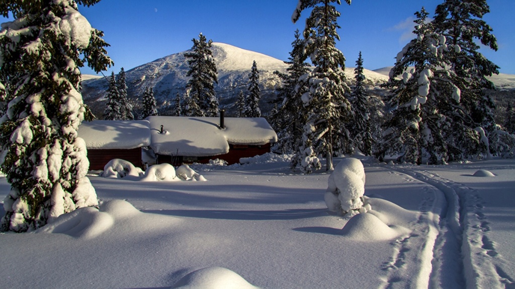 Zimski pejzaži-Winter landscapes - Page 23 7421