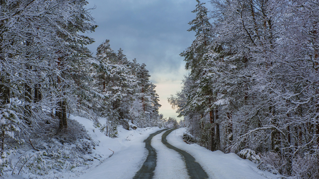 Zimski pejzaži-Winter landscapes - Page 24 7717