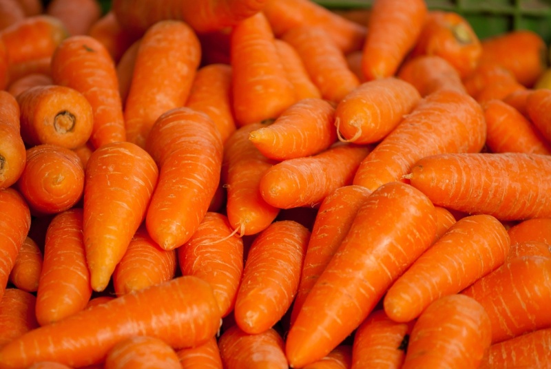 Povrće Carrot13