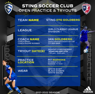 Sting SC 07G D1 Classic Keeper Opportunity! 2021_s11