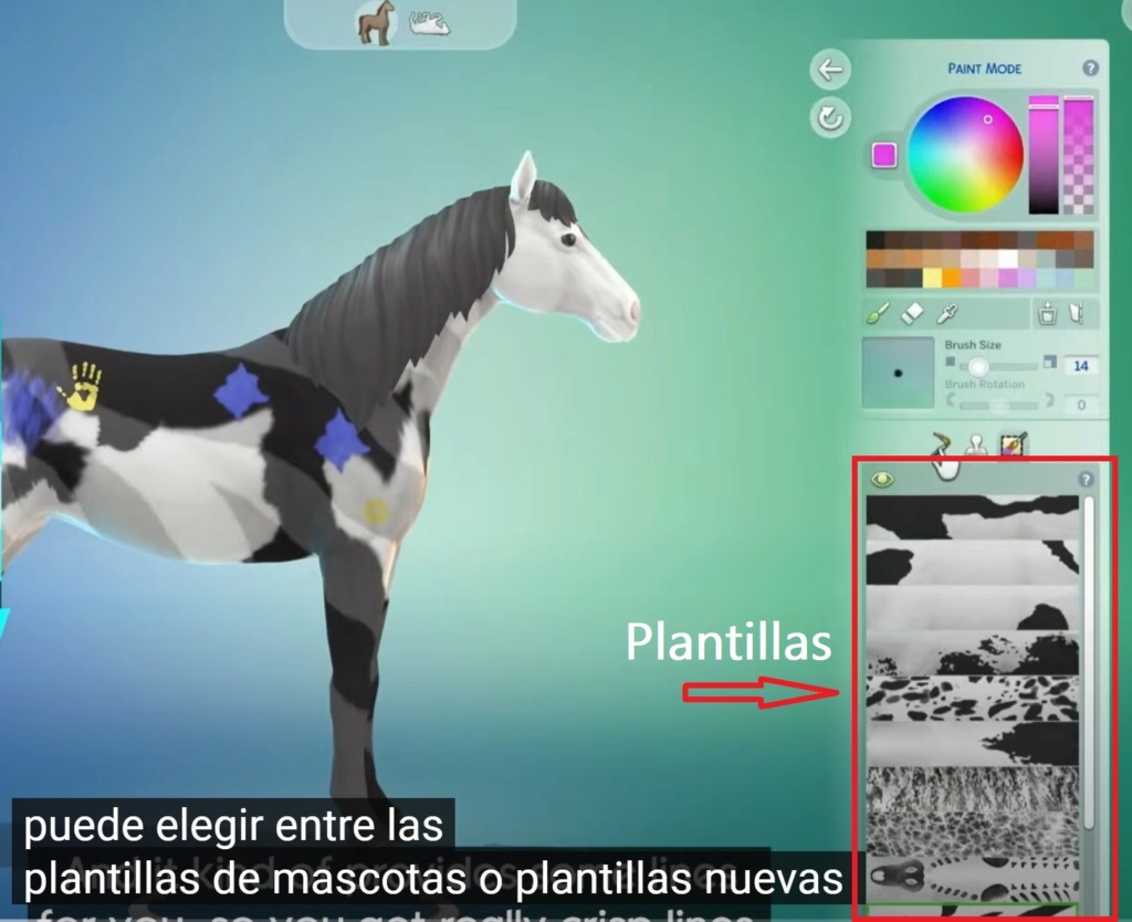 Análisis de trasmisión del  P.E Rancho de Caballos. Cuatro17