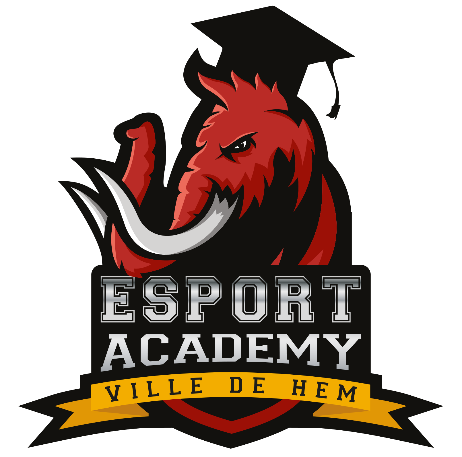 HEM ESport Academy