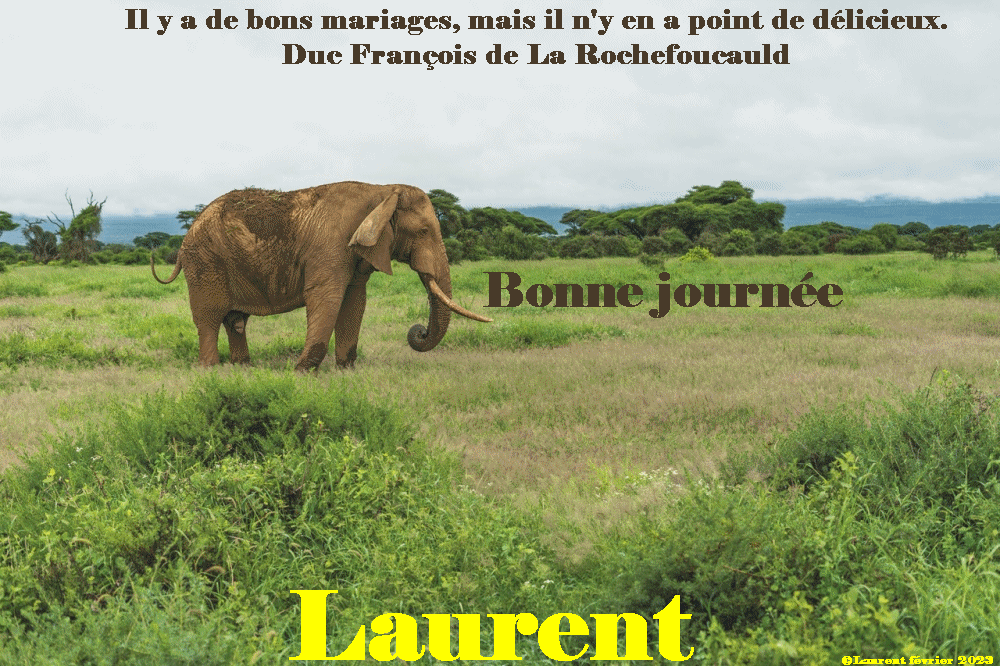  Les messages de janvier 2023 (Bonjours & bonsoirs etc..) - Page 20 Lolo0810
