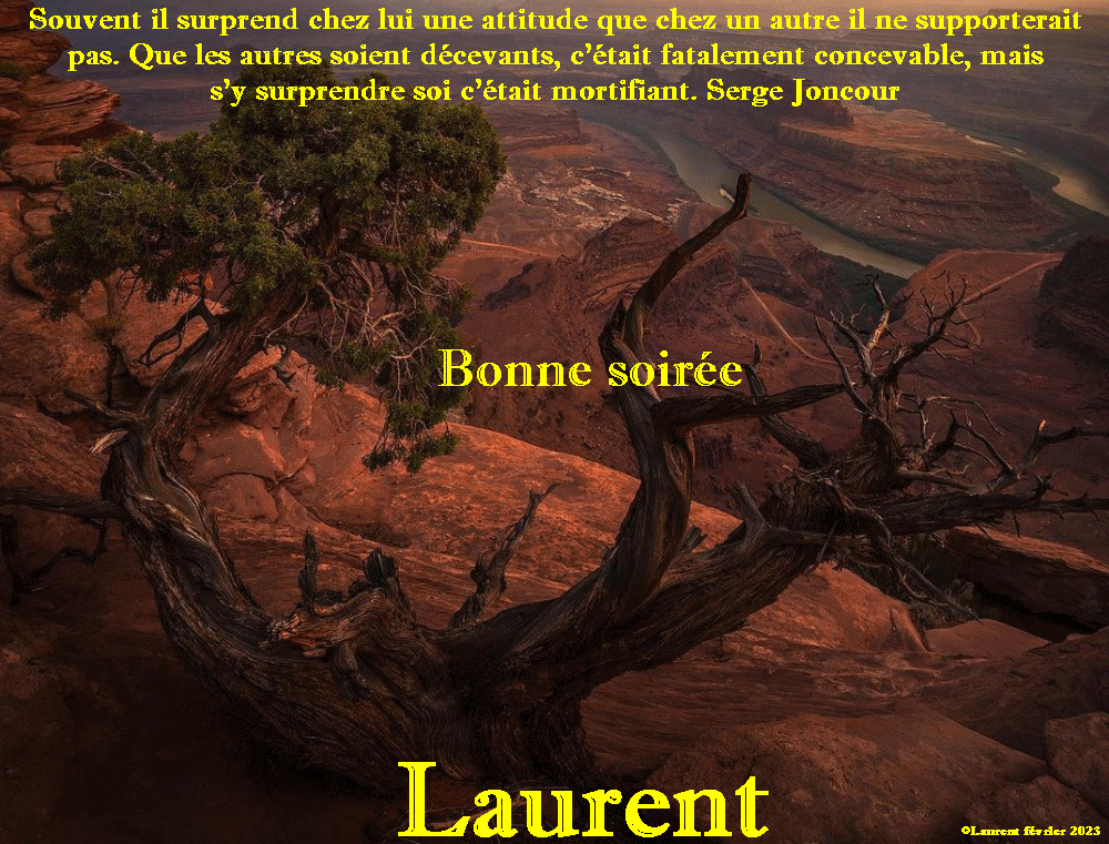  Les messages de janvier 2023 (Bonjours & bonsoirs etc..) - Page 20 Lolo1813