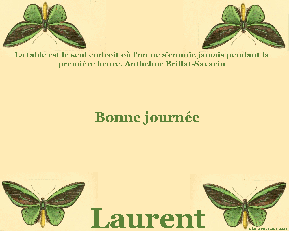  Les messages de mars 2023 (Bonjours & bonsoirs etc..) - Page 23 Lolo2514