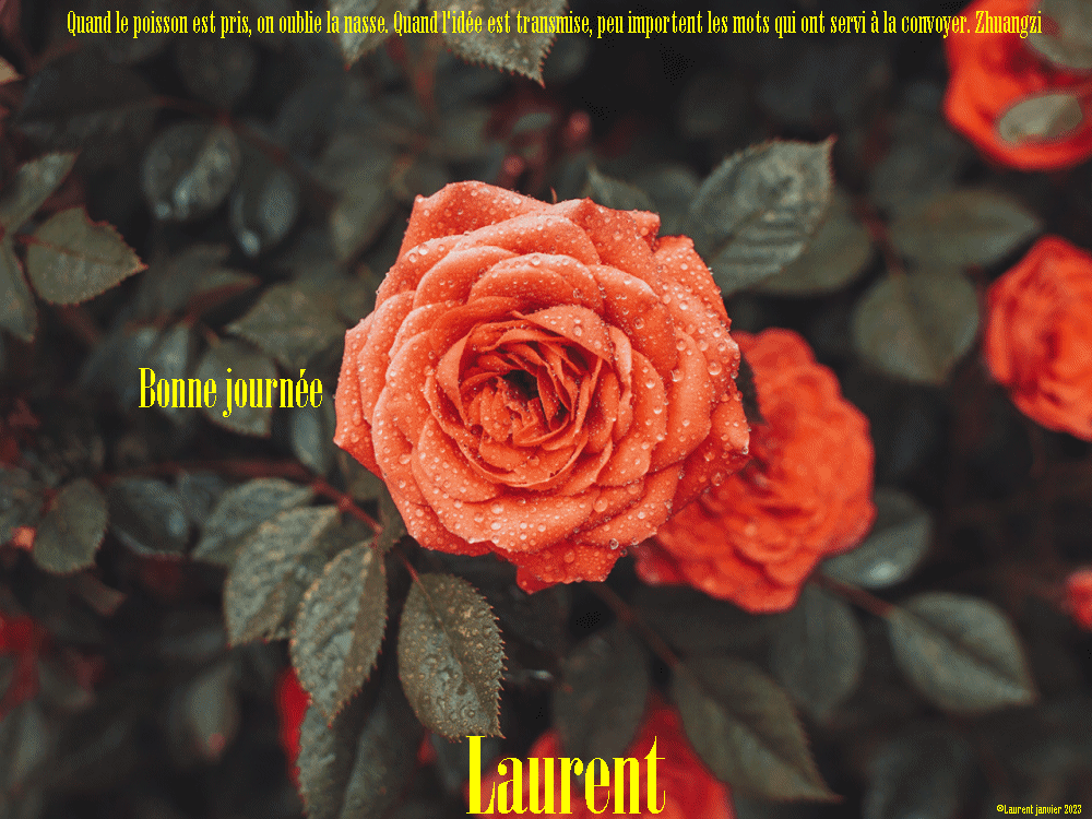  Les messages de janvier 2023 (Bonjours & bonsoirs etc..) - Page 19 Lolo2910
