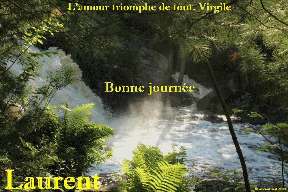  Les messages de Mai 2023 (Bonjours & bonsoirs etc..) - Page 28 Lolo2917