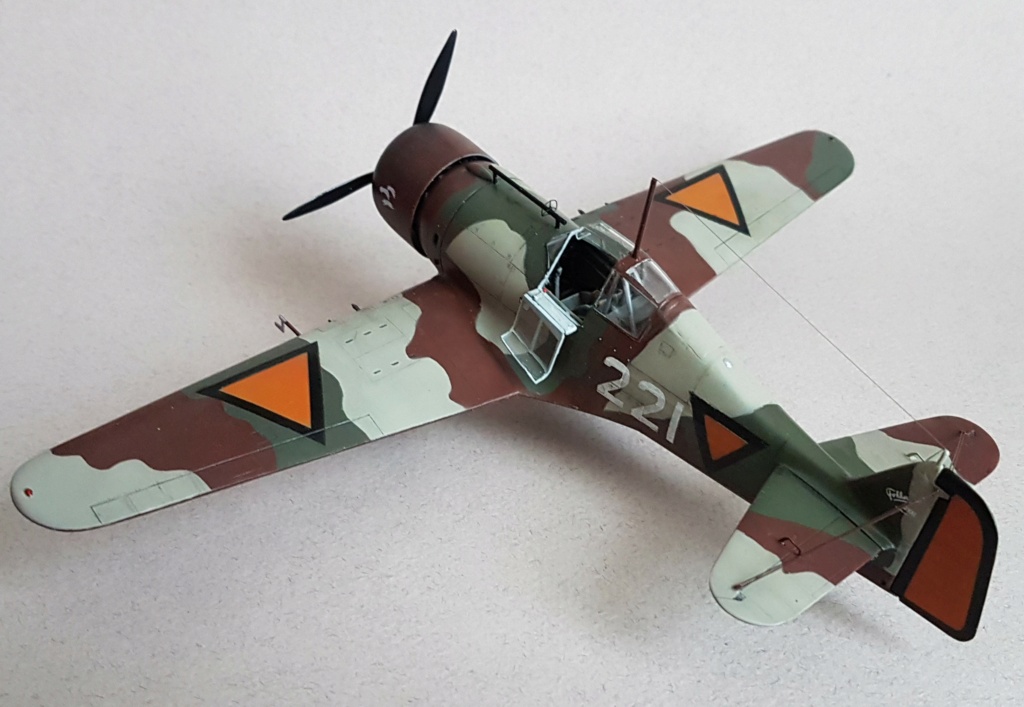 Fokker D XXI 1/48 20240210