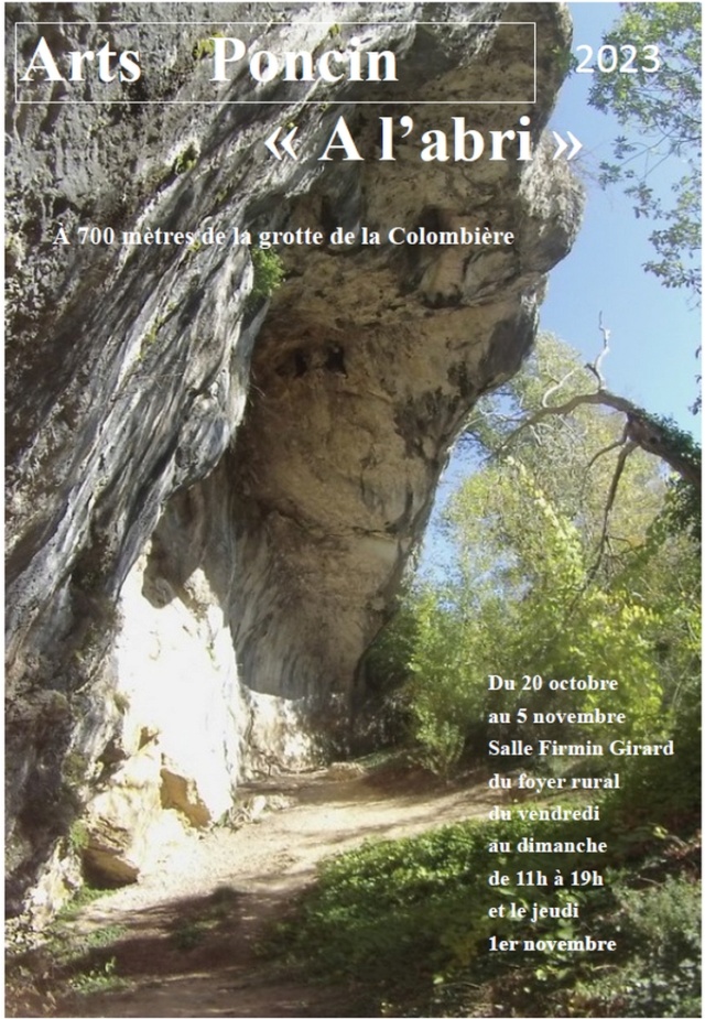 Galets et os gravés magdaléniens de la grotte de la Colombière (Neuville sur Ain / Poncin) Affich12