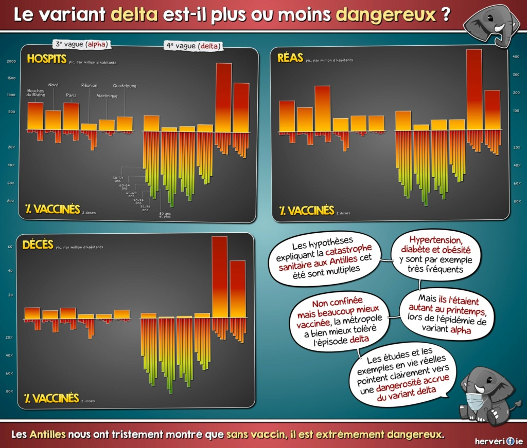 Un beau Virus... (covid19) - Page 5 25883510