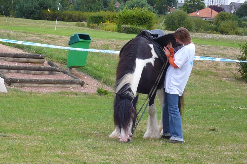 equitrait 2008- chambray les tours P1010312