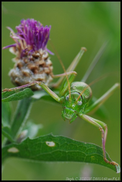 Quelques macros Macro814