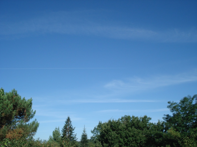 chemtrails - Les chemtrails; réalité ou fiction? - Page 2 Dsc01912