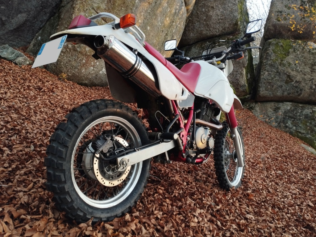 Suzuki DR 650 R Img_2291