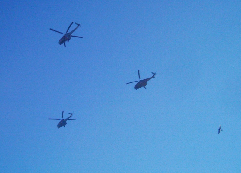 Elicoptere civile, militare, utilitare - 2008 - Pagina 10 Dsci0010