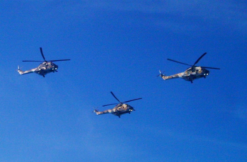 Elicoptere civile, militare, utilitare - 2008 - Pagina 10 Dsci0111