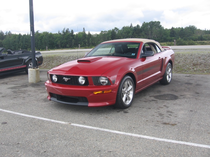 Mustang show Pictur24