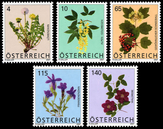 Heimische Blumen At270510